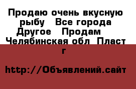 Продаю очень вкусную рыбу - Все города Другое » Продам   . Челябинская обл.,Пласт г.